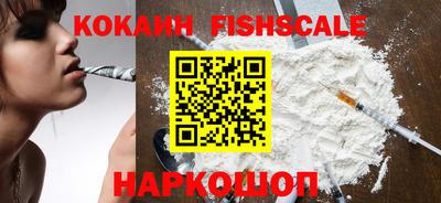 гашик Кулебаки