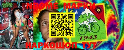 гашик Кулебаки
