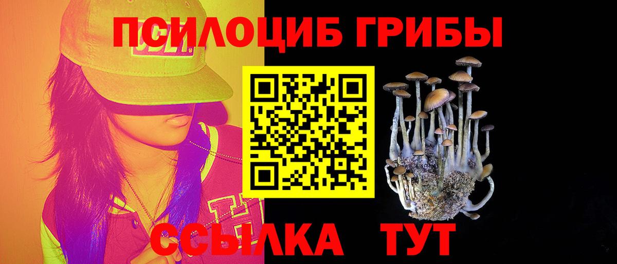 купить наркотики сайты  Вход с VPN  Зеленодольск  Псилоцибиновые грибы GOLDEN TEACHER 